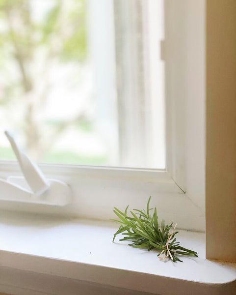 The Simple Joys of Rosemary