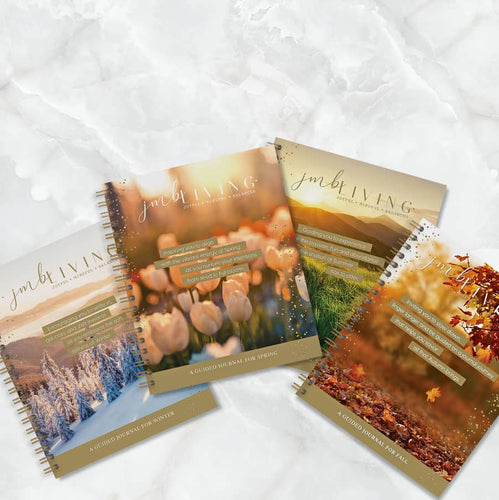 Annual Set of Guided Journals